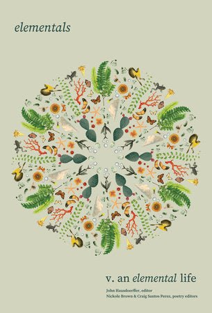 Elementals: An Elemental Life, Vol. 5 Paperback by John Hausdoerffer