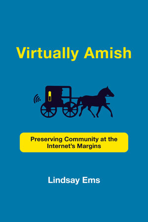 Virtually Amish Paperback by Lindsay Ems