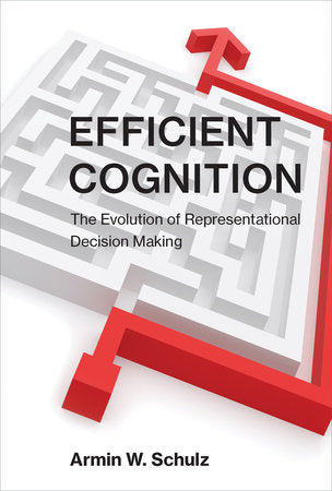 Efficient Cognition Paperback by Armin W. Schulz