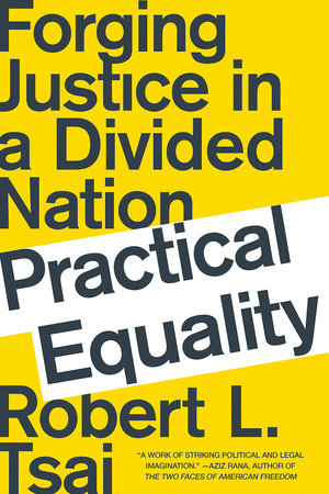 Practical Equality Paperback by Robert Tsai