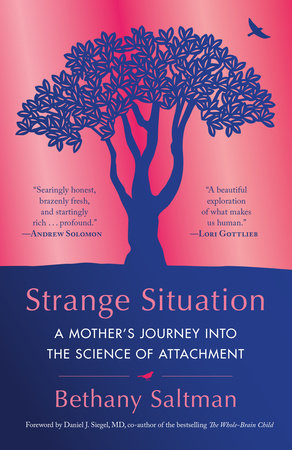 Strange Situation Paperback by Bethany Saltman