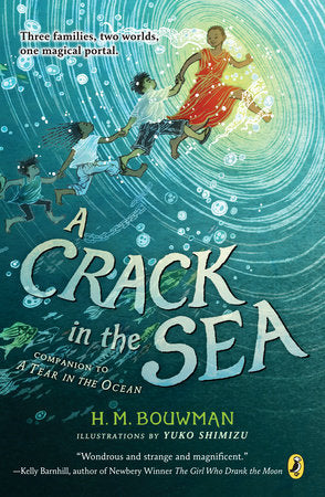 A Crack in the Sea Paperback by H. M. Bouwman