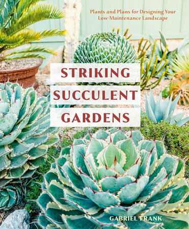 Striking Succulent Gardens Paperback by Gabriel Frank