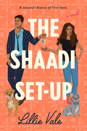 The Shaadi Set-Up Paperback by Lillie Vale