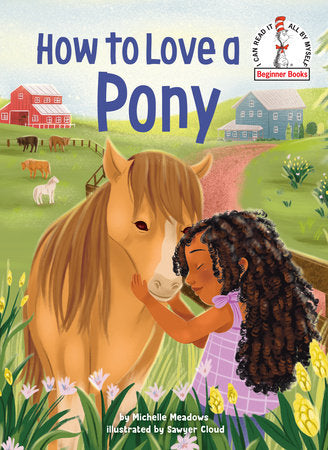How to Love a Pony Hardcover by Michelle Meadows