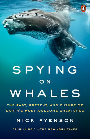 Spying on Whales Paperback by Nick Pyenson