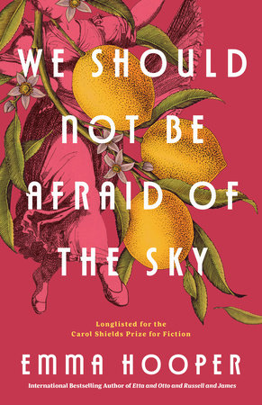 We Should Not Be Afraid of the Sky Paperback by Emma Hooper