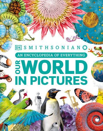 Our World in Pictures Hardcover by DK