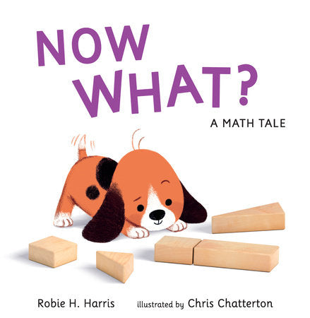 Now What? A Math Tale Hardcover by Robie H. Harris; Illustrated by Chris Chatterton
