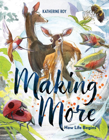 Making More: How Life Begins Hardcover by Katherine Roy