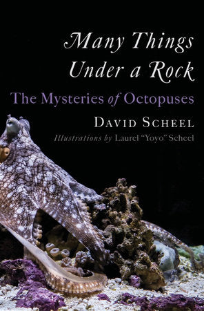 Many Things Under a Rock: The Mysteries of Octopuses Hardcover by David Scheel