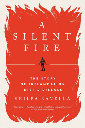 A Silent Fire Paperback by Shilpa Ravella