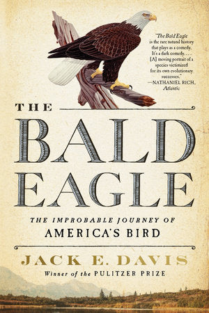 The Bald Eagle Paperback by Jack E Davis