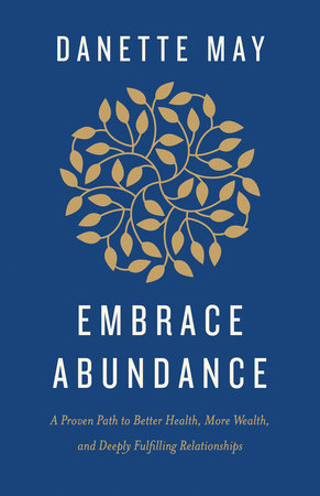 Embrace Abundance Paperback by Danette May