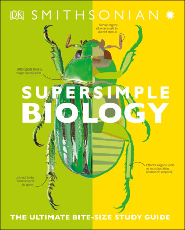 Super Simple Biology Paperback by DK