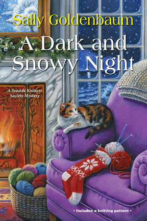 A Dark and Snowy Night Paperback by Sally Goldenbaum