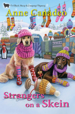 Strangers on a Skein Hardcover by Anne Canadeo