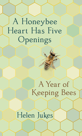 A Honeybee Heart Has Five Openings Hardcover by Helen Jukes