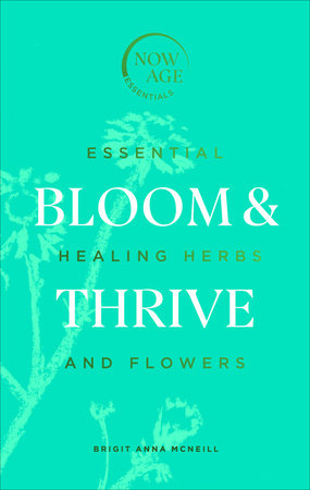 Bloom & Thrive Hardcover by Brigit Ann McNeill