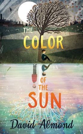 The Color of the Sun Hardcover by David Almond