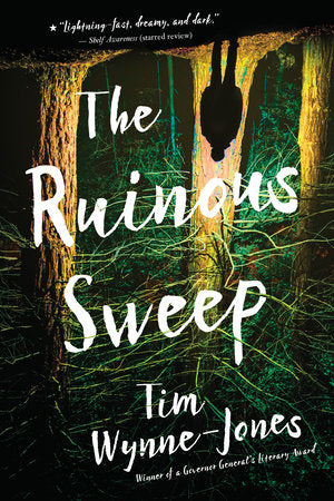 The Ruinous Sweep Paperback by Tim Wynne-Jones