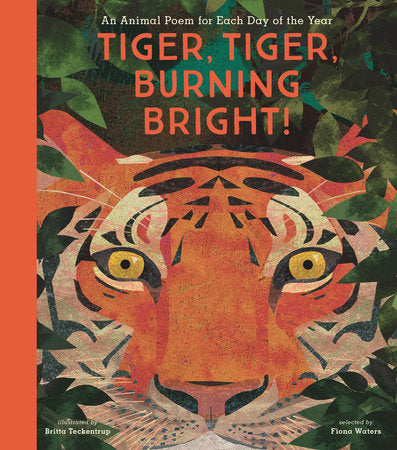 Tiger, Tiger, Burning Bright! Hardcover by Illustrated by Britta Teckentrup