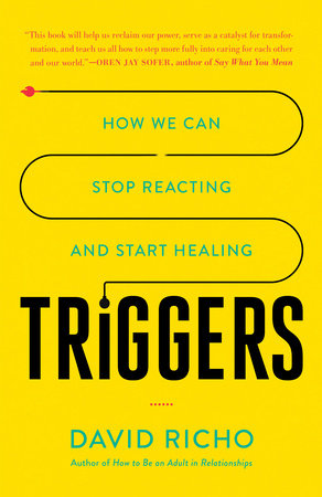 Triggers Paperback by David Richo
