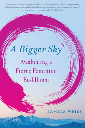 A Bigger Sky Paperback by Pamela Weiss