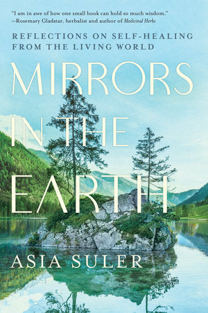 Mirrors in the Earth Paperback by Asia Suler