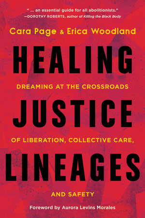 Healing Justice Lineages Paperback by Cara Page