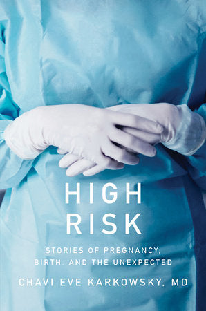 High Risk Hardcover by Chavi Eve Karkowsky
