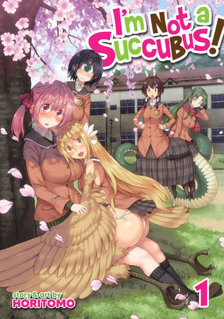 I'm Not a Succubus! Vol. 1 Paperback by Horitomo