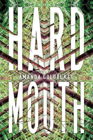 Hard Mouth Paperback by Amanda Goldblatt