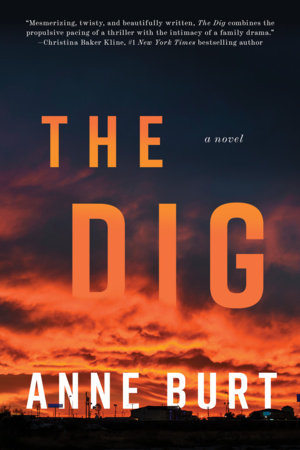 The Dig: A Novel Hardcover by Anne Burt