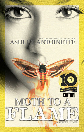 Moth to a Flame Paperback by Ashley Antoinette