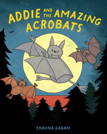 Addie and the Amazing Acrobats Hardcover by Shauna Cagan