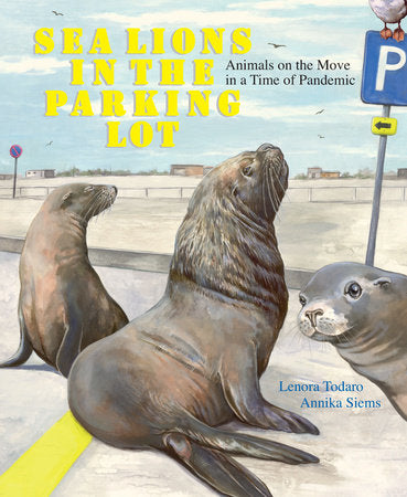 Sea Lions in the Parking Lot Hardcover by Lenora Todaro; Illustrated by Annika Siems