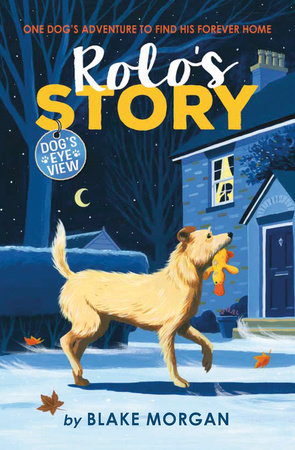 Rolo's Story Hardcover by Blake Morgan; illustrated by David Dean