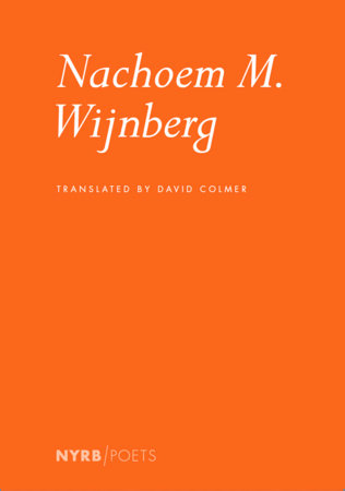 Nachoem M. Wijnberg Paperback by Nachoem M. Wijnberg, translated from the Dutch by David Colmer
