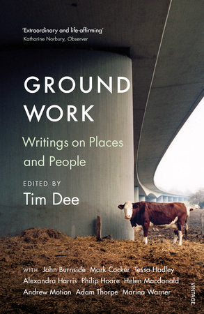 Ground Work Paperback by Tim Dee