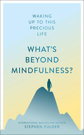 What's Beyond Mindfulness? Paperback by Stephen Fulder