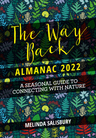 The Way Back Almanac 2022 Hardcover by Melinda Salisbury