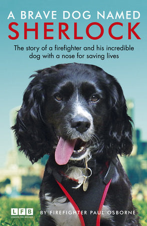 A Brave Dog Named Sherlock Paperback by Paul Osborne