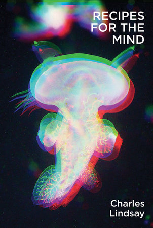 Recipes for the Mind Paperback by Charles Lindsay