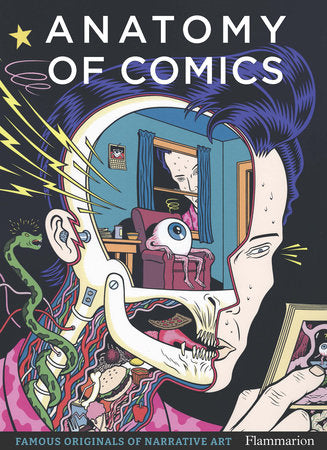 Anatomy of Comics Paperback by Damien MacDonald