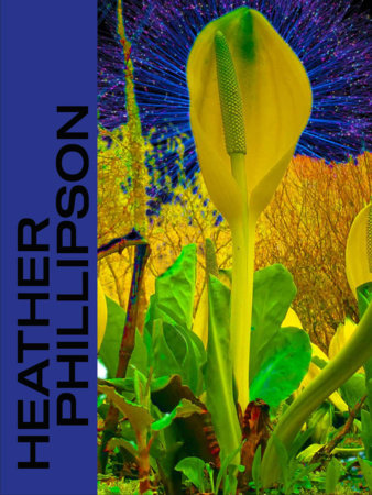 Heather Phillipson Hardcover by Leila Hasham, Chus Martinez, Charlie Fox, Laura Ferris Mclean, Esther Leslie