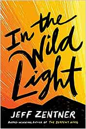 In the Wild Light Paperback by Jeff Zentner