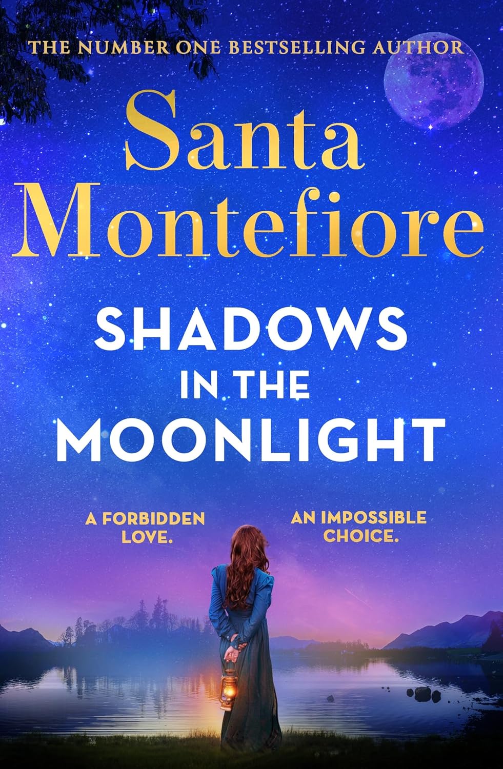 Shadows in the Moonlight: The sensational and devastatingly romantic novel from the number one bestselling author! (Timeslider) Hardcover by Santa Montefiore