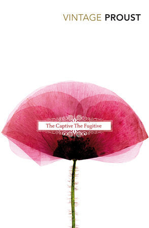 In Search of Lost Time, Volume V:The Captive & The Fugitive Paperback by Marcel Proust