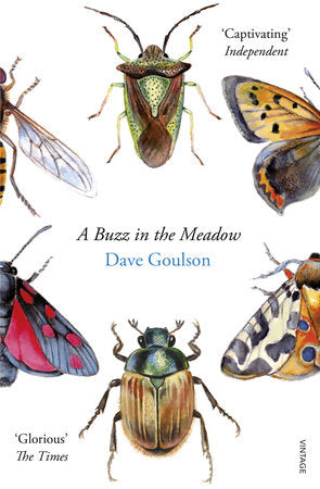 A Buzz in the Meadow Paperback by Dave Goulson